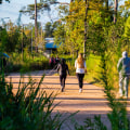 Discovering the Best Walking Events in Harris County, Texas