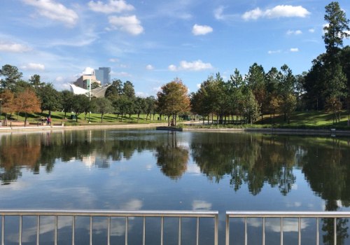 Exploring the Unique Walking Events in Harris County, Texas