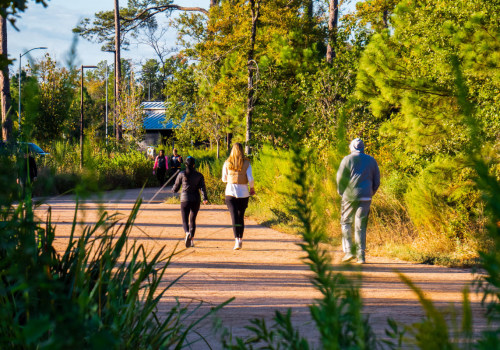 Discovering the Best Walking Events in Harris County, Texas